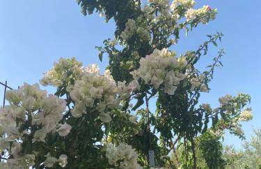 Studio Mare - Foto 16