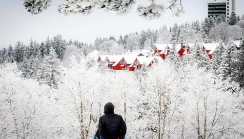 Ferienwohnung Tannenblick 2-2 3-4 - Foto 2