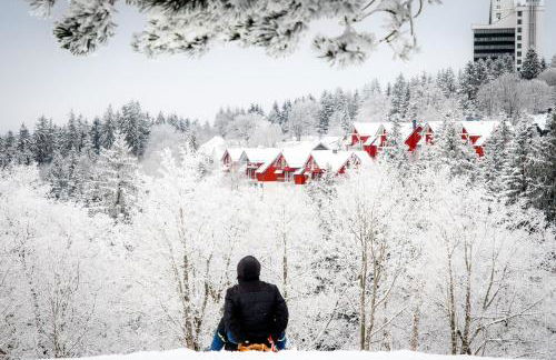 Ferienwohnung Tannenblick 2-2 3-4 - Photo 2