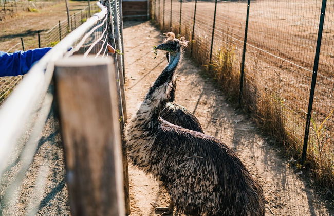 La Tenuta di Santo Stefano Agri Resort & Spa - Photo 56