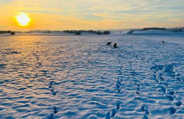 Haus Steiner - Ruhige, top bewertete Ferienwohnung in Lauterbach - Schwarzwald - Foto 48