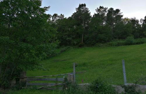 Casa do Vale de Cerva - Foto 26