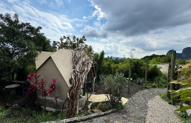 Bosque Geométrico - Foto 76