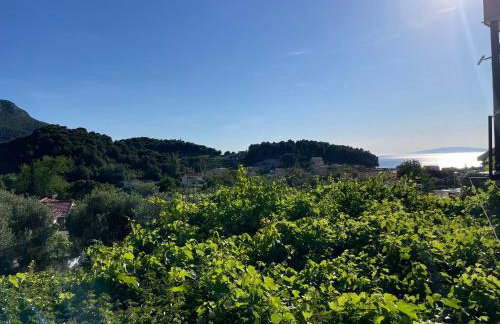 Apartments Leko - Foto 66