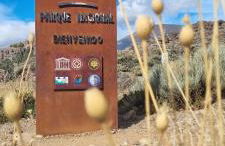 Tropical Leaves Puerto de la Cruz Tenerife - Foto 19