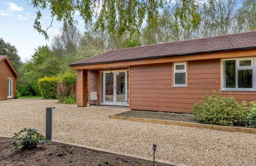 Mallard - Uk41033 - Foto 15