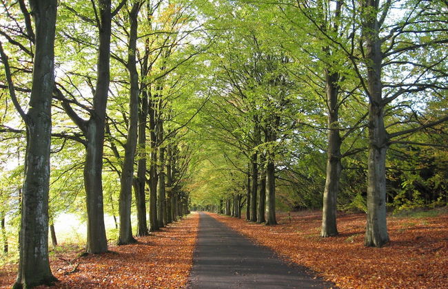 Tastefully Furnished Holiday Residence Located in the Heart of the Ardennes - Photo 21