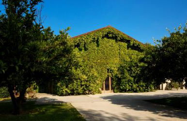 Masseria GiòSole - Foto 11