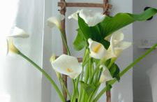 Loft Marea Bermeo - Foto 16