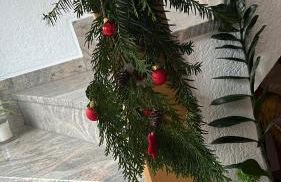 Ferienwohnung INKA am Eifelsteig Kall - Photo 23