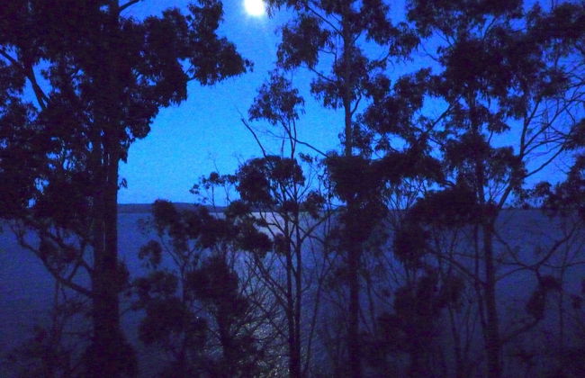 Bruny Island Varuna - Foto 19