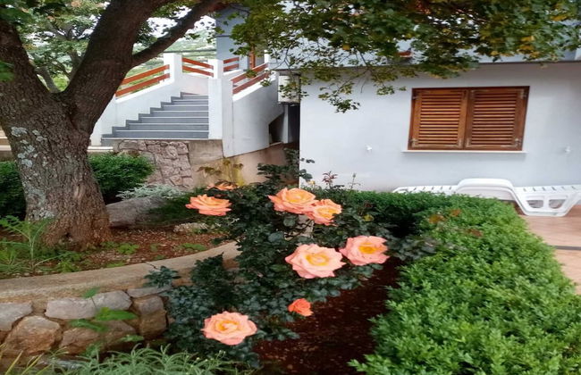 Apartments Paola - Foto 33