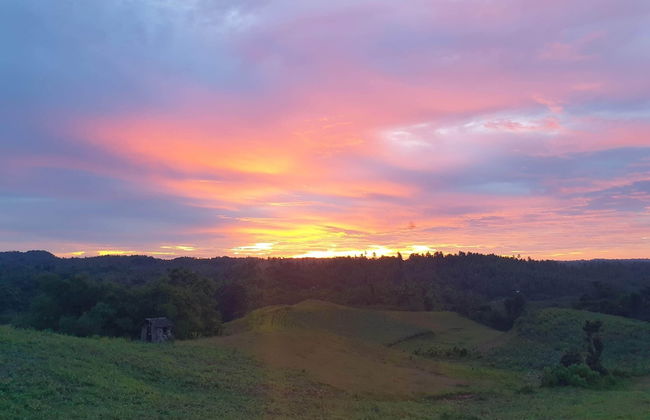 Mango Tree Siargao - Photo 78