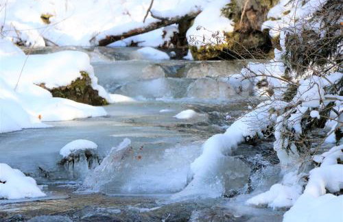 Ferienwohnungen Ludwigsthal - Foto 28