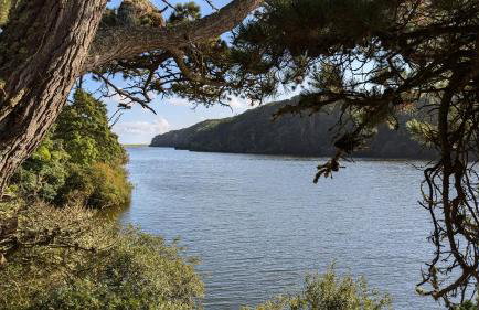 Loe Bar Bottom - Foto 25