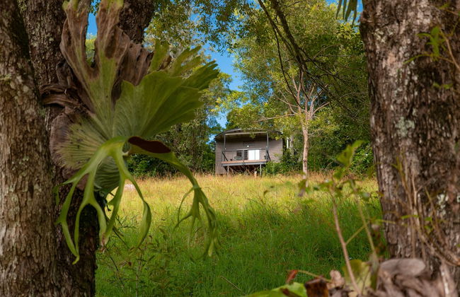 Whispering Valley Cottage Retreat - Photo 18