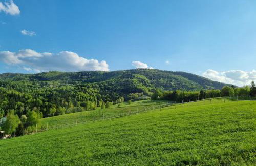 Wiśniowe Zacisze - Agroturystyka - Photo 25