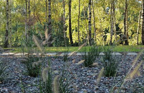 Budzi nas las Marcyporęba - Duży domek - Photo 31