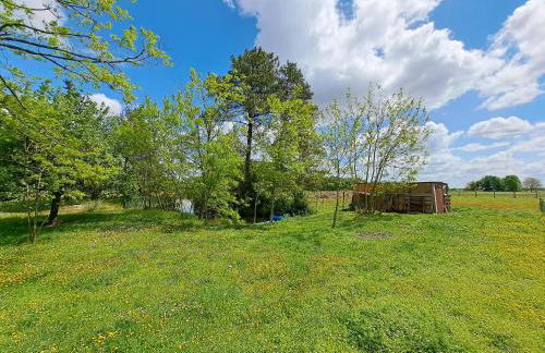 Le Bonheur est dans le Pré. - Foto 4