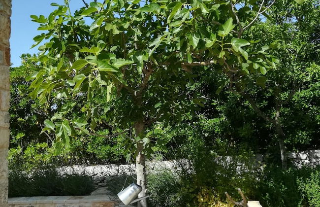 Trulli Lamascrasciola - Foto 31