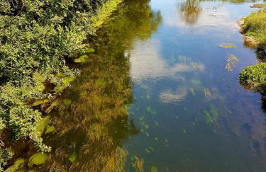 Ferienhaus am See Goch Kessel - Foto 36