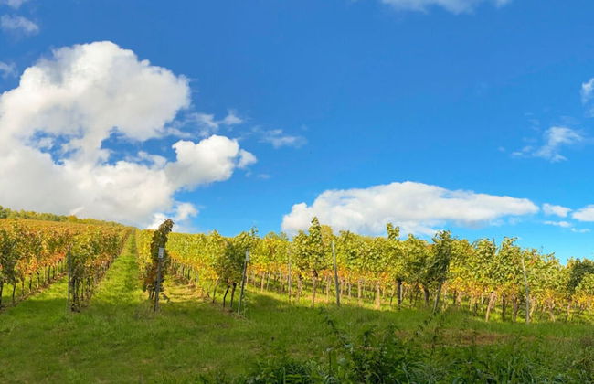 Holiday Apartment Faller-greiner - Photo 6