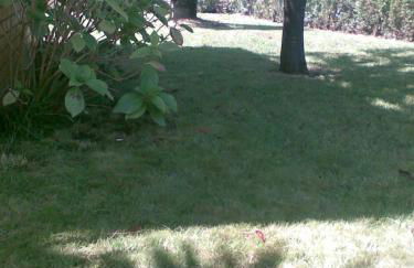 Praia de Mira casa de vacaciones, un paraíso de paz - Foto 12