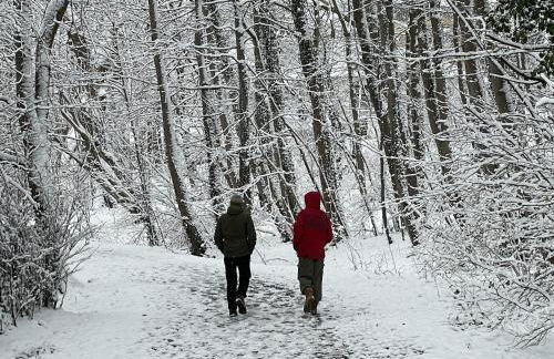 Lakeside Comfort with Balcony - Foto 63
