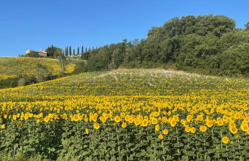 Agriturismo La Frattina - Foto 30