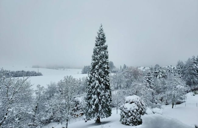 Holiday Apartment Falkenlay - Foto 27