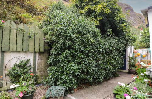 St Magnus Haven - Foto 13