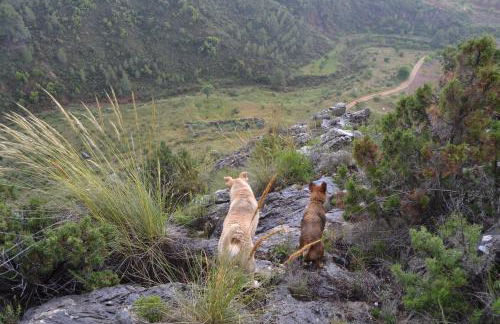 Las Casas de la Vega - Foto 75