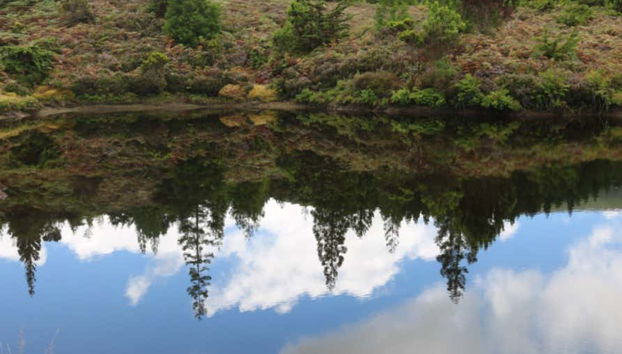 Contemplando paesaggi sorprendenti durante il tour