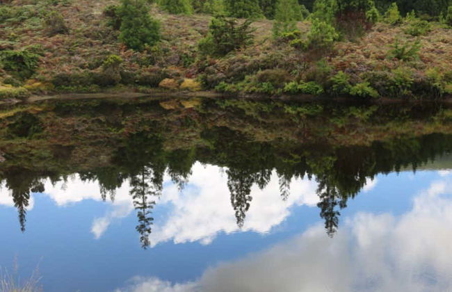 Tour di Terceira - Foto 5