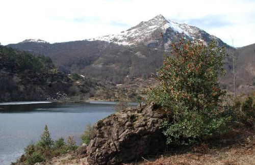 La Grange de l'Ours - Foto 41