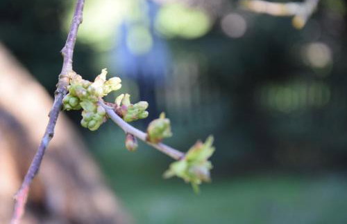 Studio Gościnne ANTEK - Foto 23