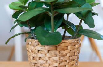 AG SALINAS - Foto 42