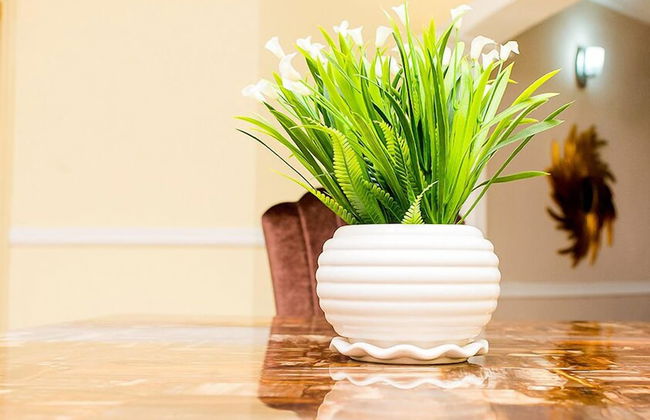 The Good House PHC - Foto 19