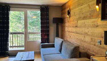 Superbe studio de montagne, au pied des pistes de ski, classé 3 étoiles - Foto 4