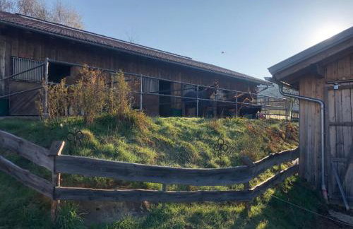 Biohof Weiderer - Foto 24