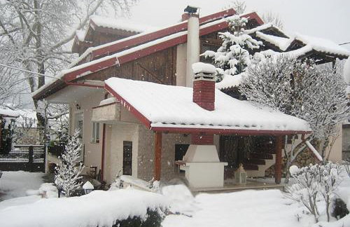 "The plane trees" - Foto 68