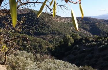 Molino Mairena - Foto 12