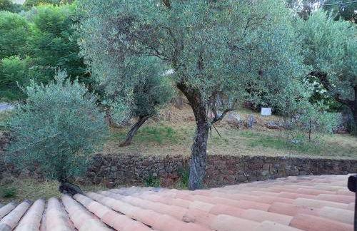 Provencal villa with pool, 1500m2 grounds - Foto 9