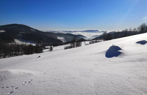 Orle Gniazdo - Foto 11