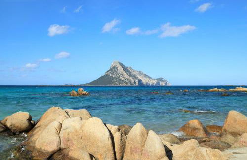 Villa Victoria 1.5 Km From The Beach - Happy Rentals - Foto 20