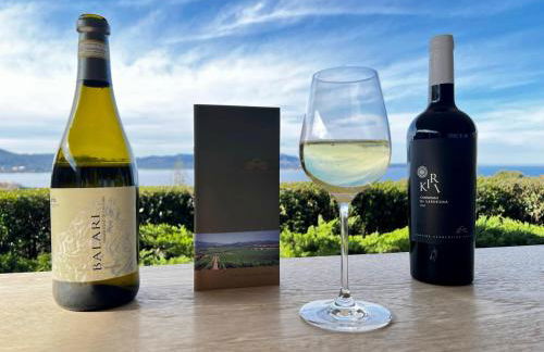 Luxury studio Garibaldi - perfect for couples - fully Equipped - Historical Centre - Photo 35