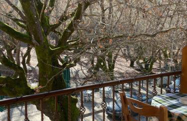 Mountain Hotels "Aroanides" - Foto 39