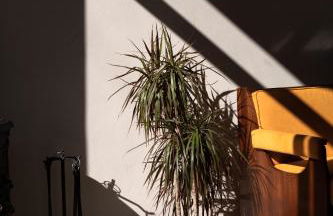 Quintana, a junior villa with private pool! - Foto 48