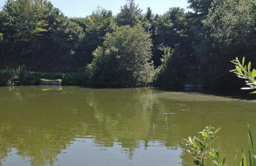 Beeches Shepherd Hut - Foto 12