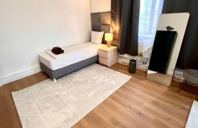 BIG New 7Rooms City Center APARTMENTS and Suites - Foto 27
